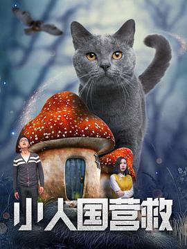BD高清免费观看