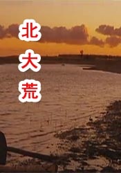 HD免费在线播放