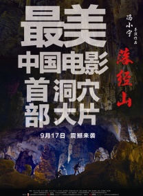 清晰在线播放观看