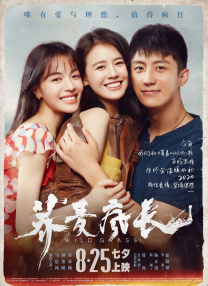 全集免费观看超清