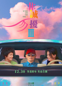 经过一个半小时的复讯后，王大陆交了15万新台币（约3万人民币）保释金后获释。